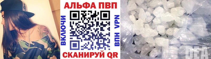 площадка формула Новая Ладога APVP VHQ