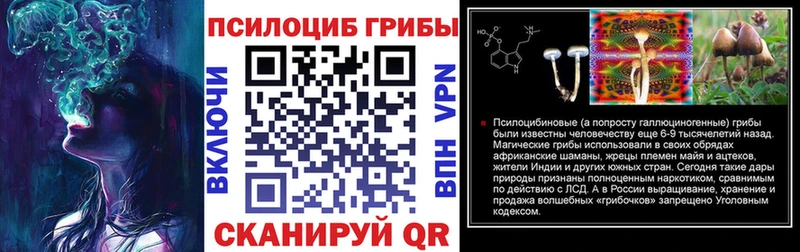 купить закладку  Новая Ладога  гидра ССЫЛКА  Галлюциногенные грибы Psilocybine cubensis 
